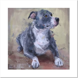 Loose Painting of a Gray Pit Bull Posters and Art